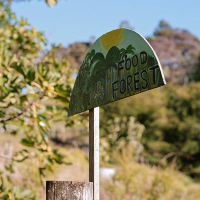 Garden Tours
